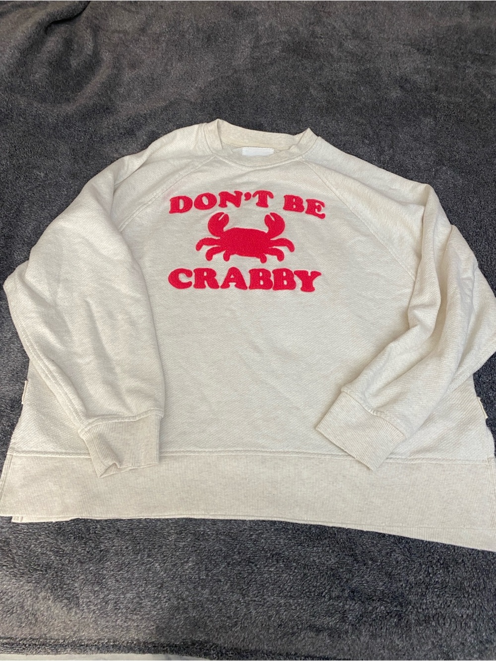 aerie Don’t be Crabby Crewneck Terry Sweatshirt S